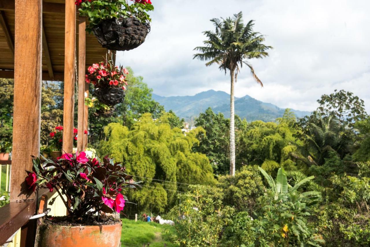 La Posada De La Abuela Salento Extérieur photo